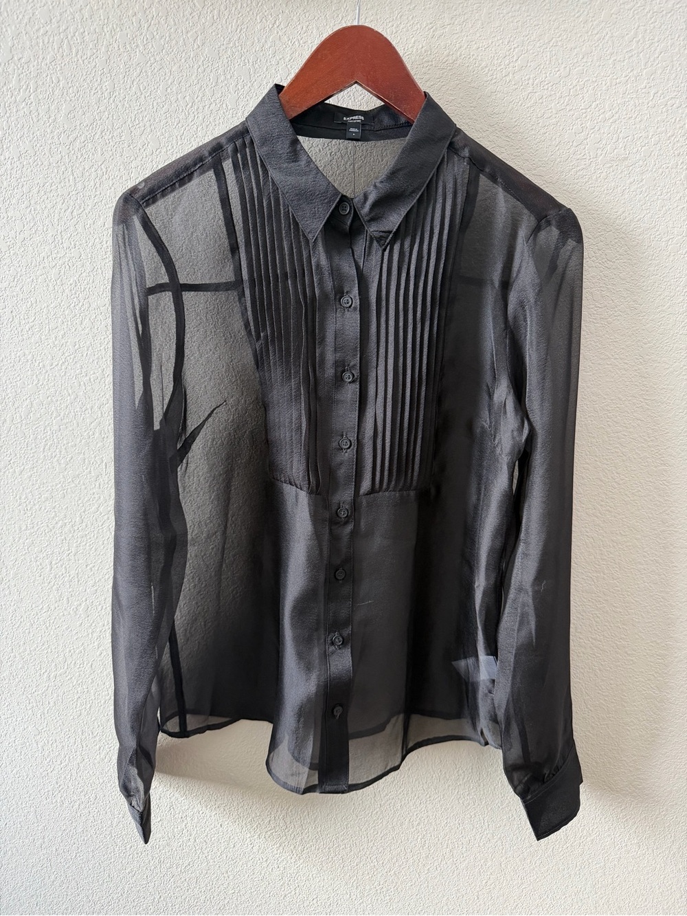 Express Black Sheer Pleated Front Blouse